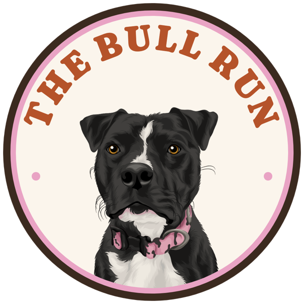 The Bull Run logo: an illustration of Bellamy, a black and white Staffy in a pink collar